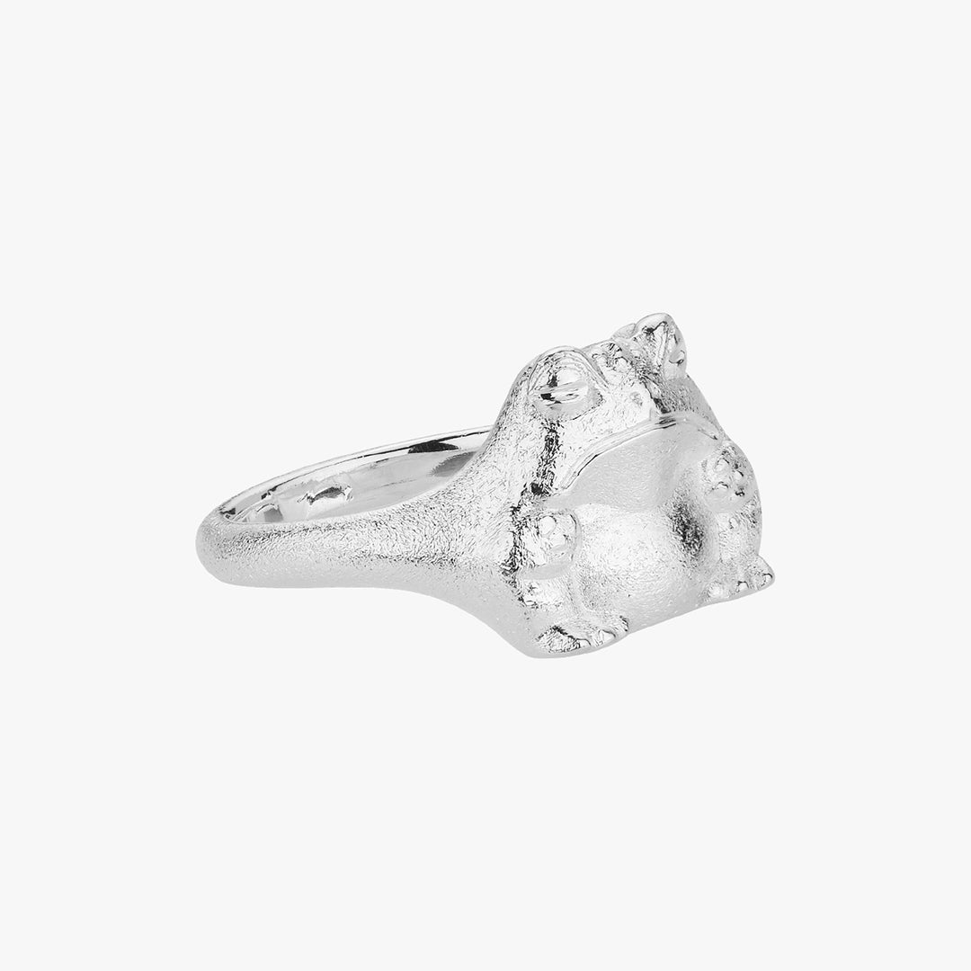 SMALL KAERU RING